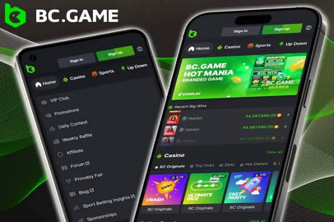Experience Thrills at BC.Game The Ultimate Online Crypto Casino