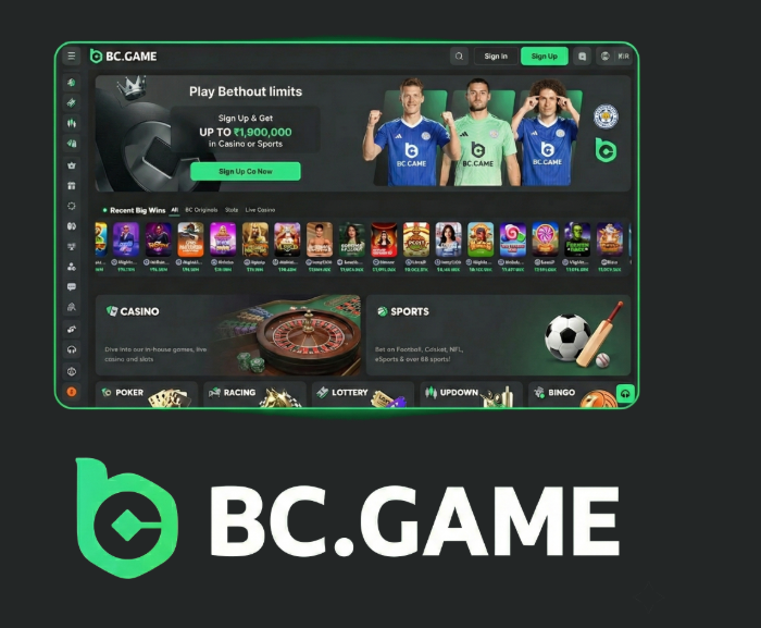 Comprehensive Guide to BC.Game Registration Process Comprehensive Guide to BC.Game Registration Process